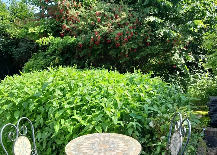 Butterfly Retreat - Private Getaway Appartamento Delvin